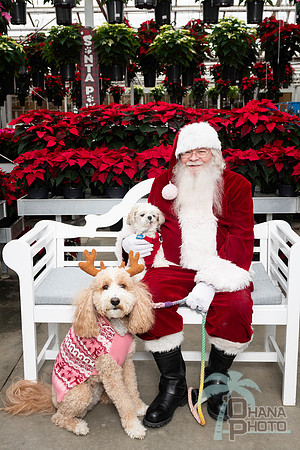 SantaPaws2025-0661