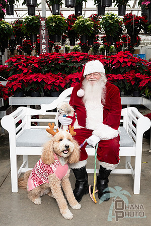 SantaPaws2025-0664