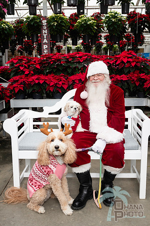 SantaPaws2025-0700