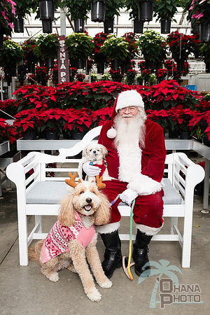 SantaPaws2025-0665