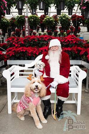 SantaPaws2025-0666