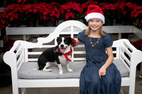 SantaPaws2025-0906