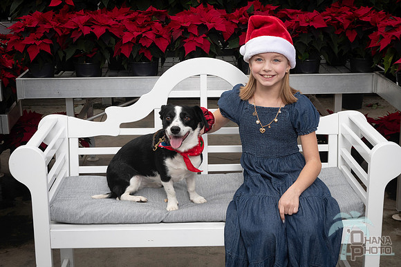 SantaPaws2025-0906
