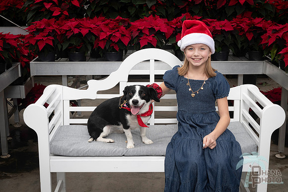 SantaPaws2025-0909