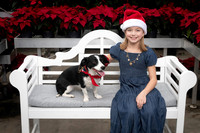 SantaPaws2025-0907