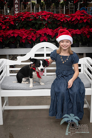 SantaPaws2025-0916