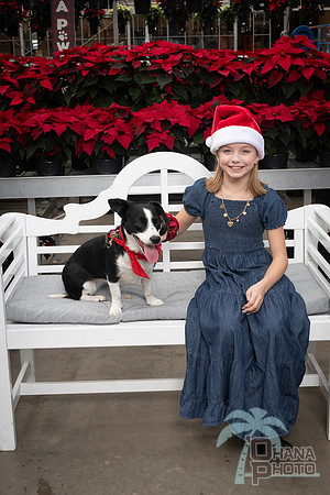 SantaPaws2025-0917