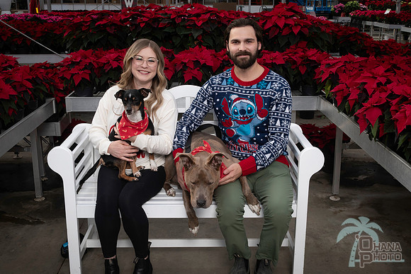 SantaPaws2025-1000