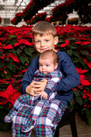 SantaPaws2022-004
