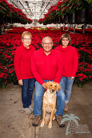 SantaPaws2022-028