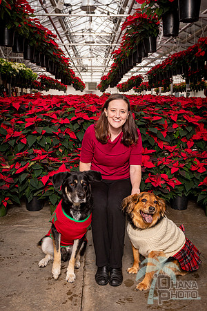 SantaPaws2022-045
