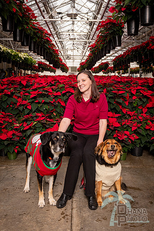 SantaPaws2022-049