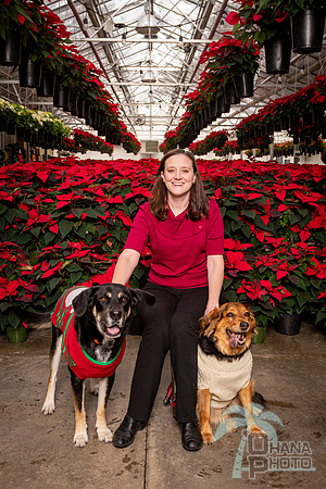 SantaPaws2022-050