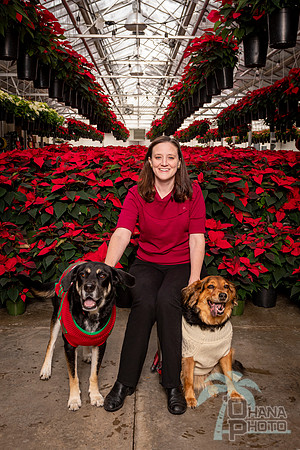 SantaPaws2022-051