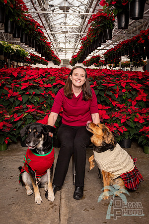SantaPaws2022-053