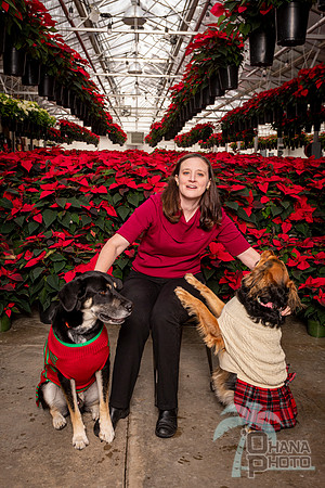 SantaPaws2022-054