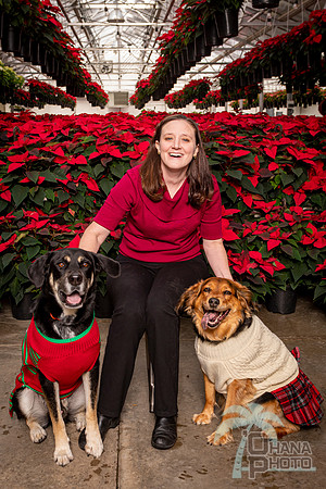 SantaPaws2022-056