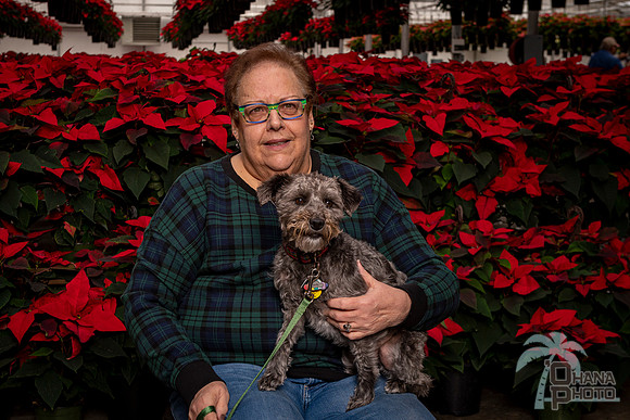SantaPaws2022-041
