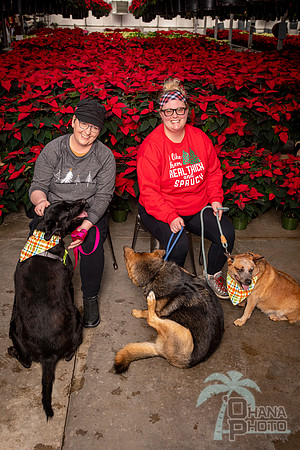 SantaPaws2022-059
