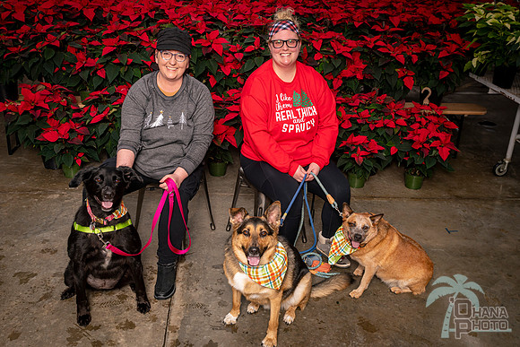 SantaPaws2022-057