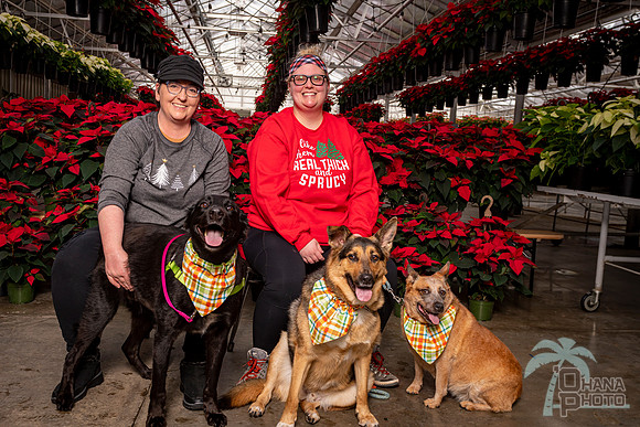 SantaPaws2022-061