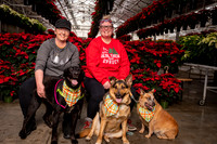SantaPaws2022-062