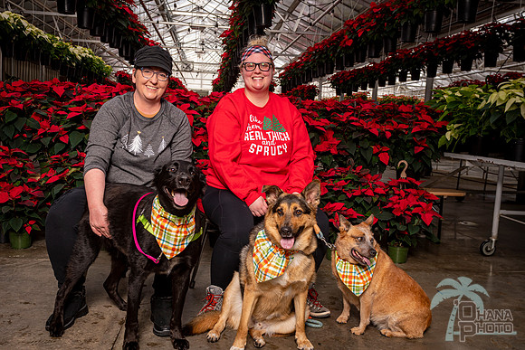 SantaPaws2022-062