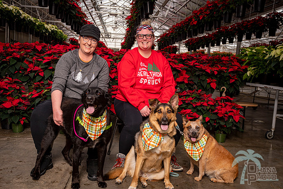 SantaPaws2022-064