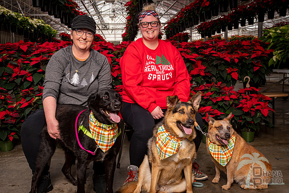 SantaPaws2022-063