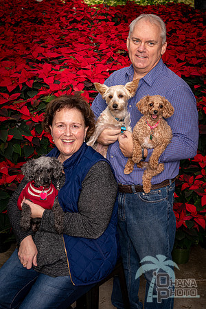 SantaPaws2022-077