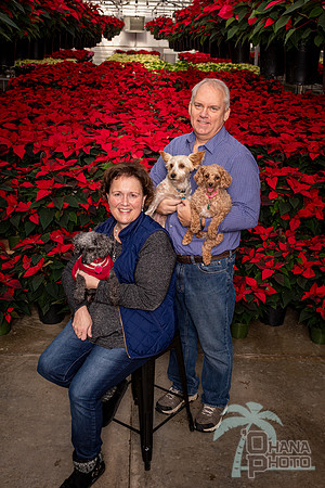 SantaPaws2022-078