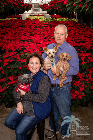 SantaPaws2022-076