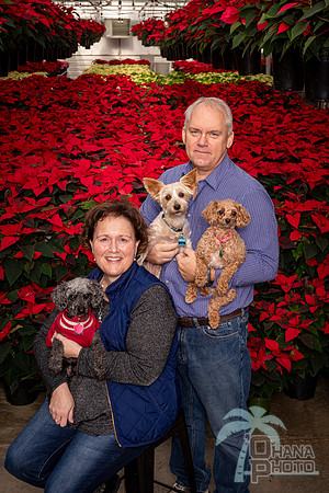 SantaPaws2022-075