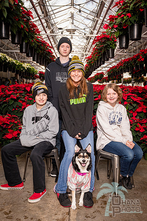 SantaPaws2022-117