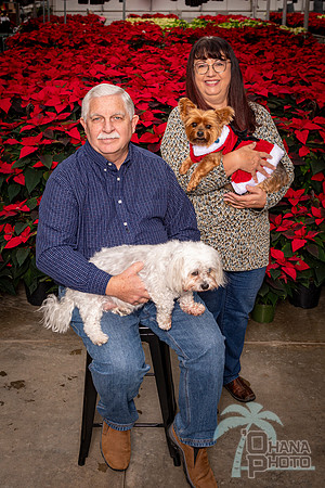 SantaPaws2022-186