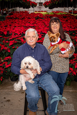 SantaPaws2022-187