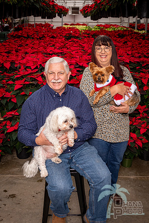 SantaPaws2022-188