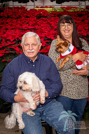 SantaPaws2022-190