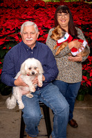 SantaPaws2022-191