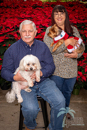 SantaPaws2022-191