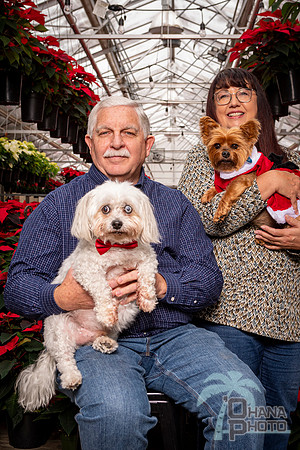 SantaPaws2022-194