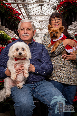 SantaPaws2022-196