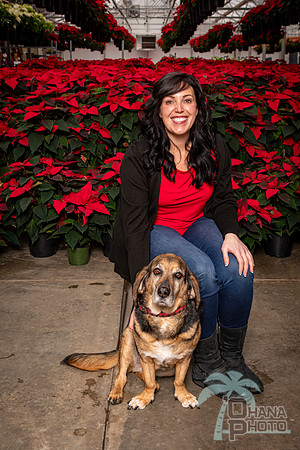 SantaPaws2022-208