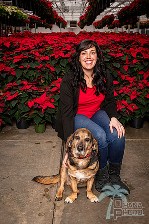 SantaPaws2022-207
