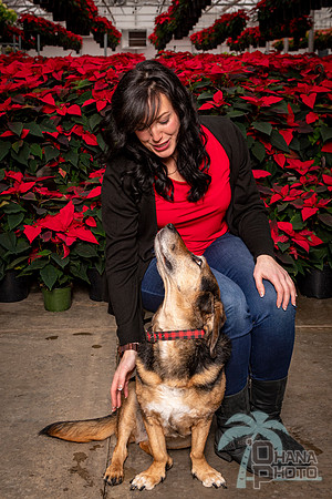 SantaPaws2022-213