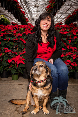 SantaPaws2022-217