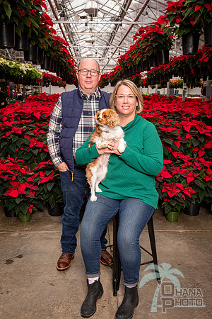 SantaPaws2022-254