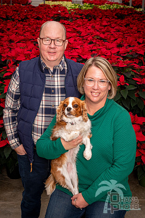 SantaPaws2022-261