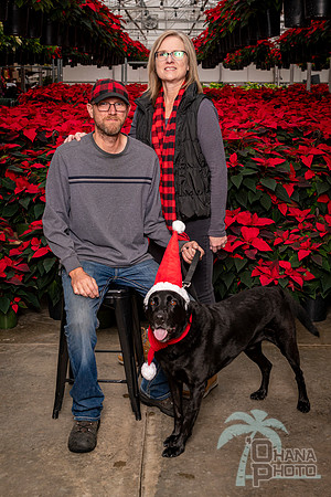 SantaPaws2022-295