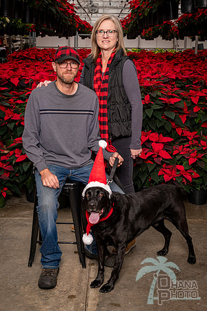 SantaPaws2022-298